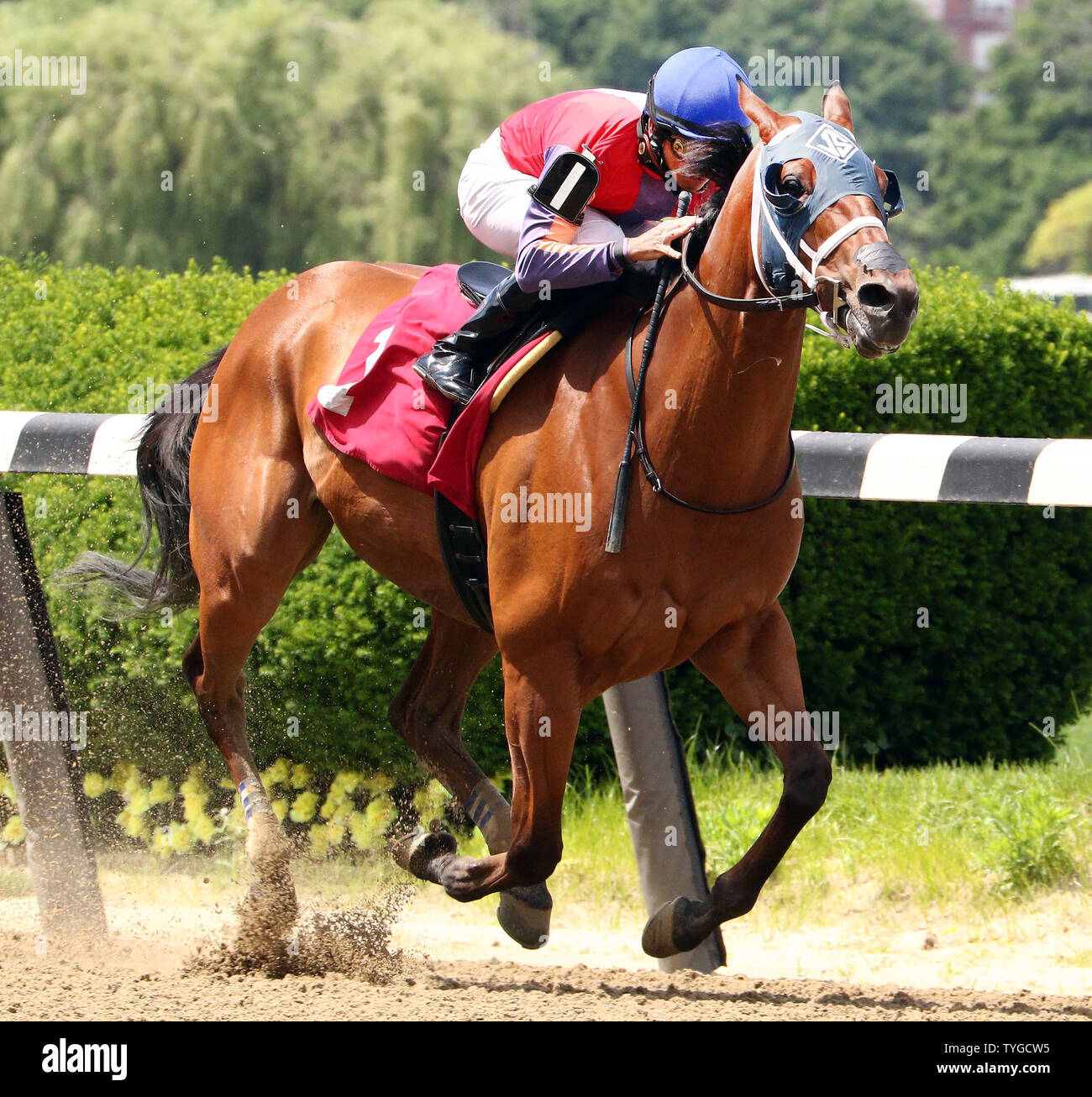 belmont race track july 4