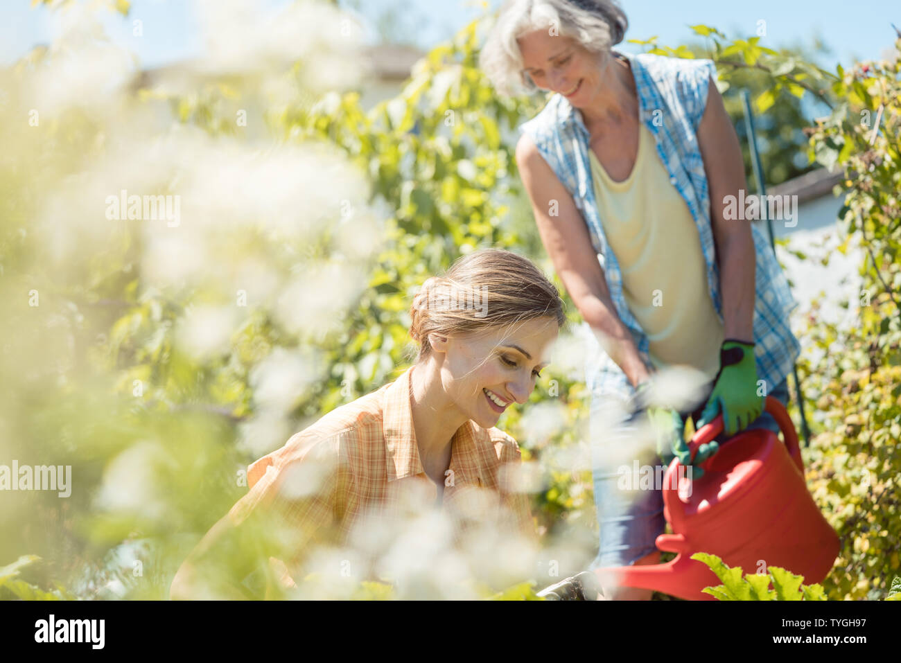 Senior and young woman gardening together Stock Photo