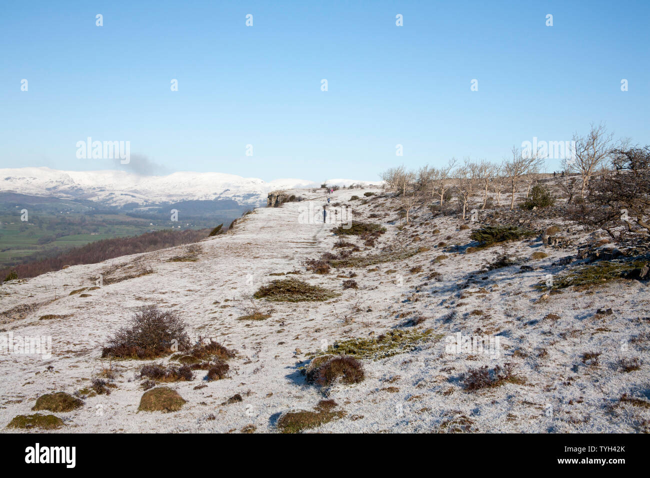 The frosty snow clad plateau of Scout Scar on a clear bright winter day