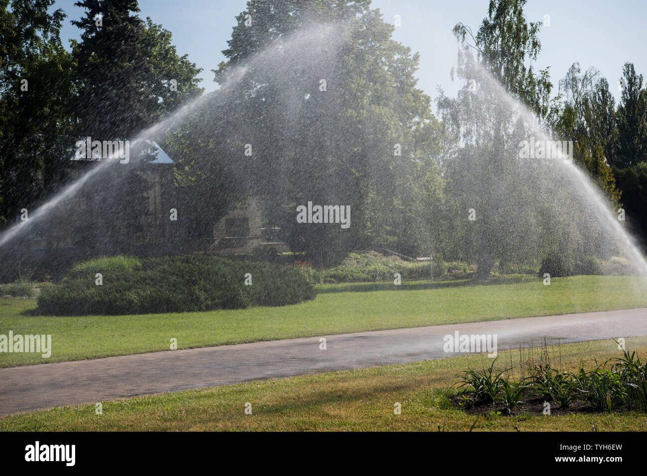 Automatic garden irrigation spray system hi-res stock photography and ...