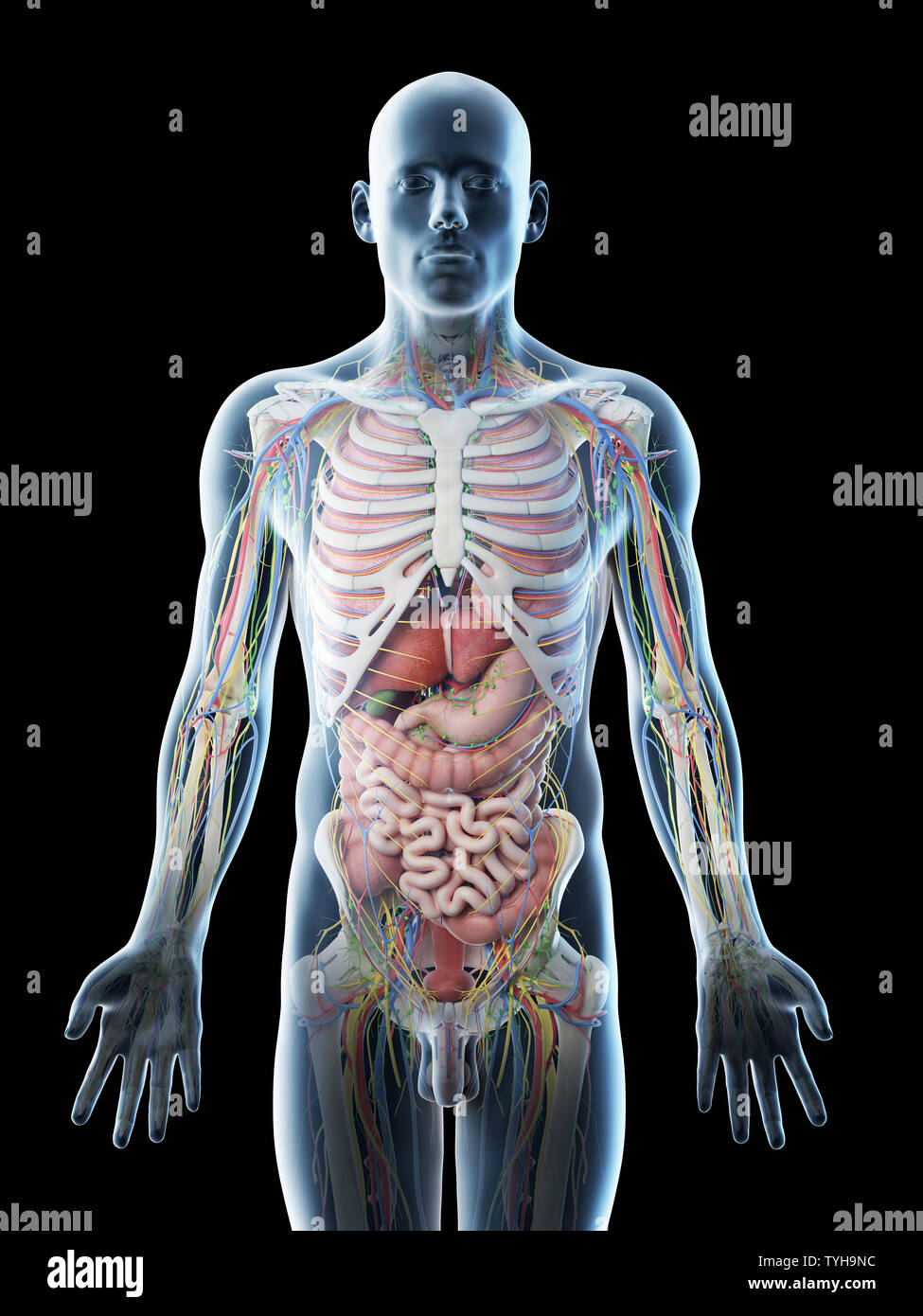 24 Gothic ideas art, art inspiration, dark art