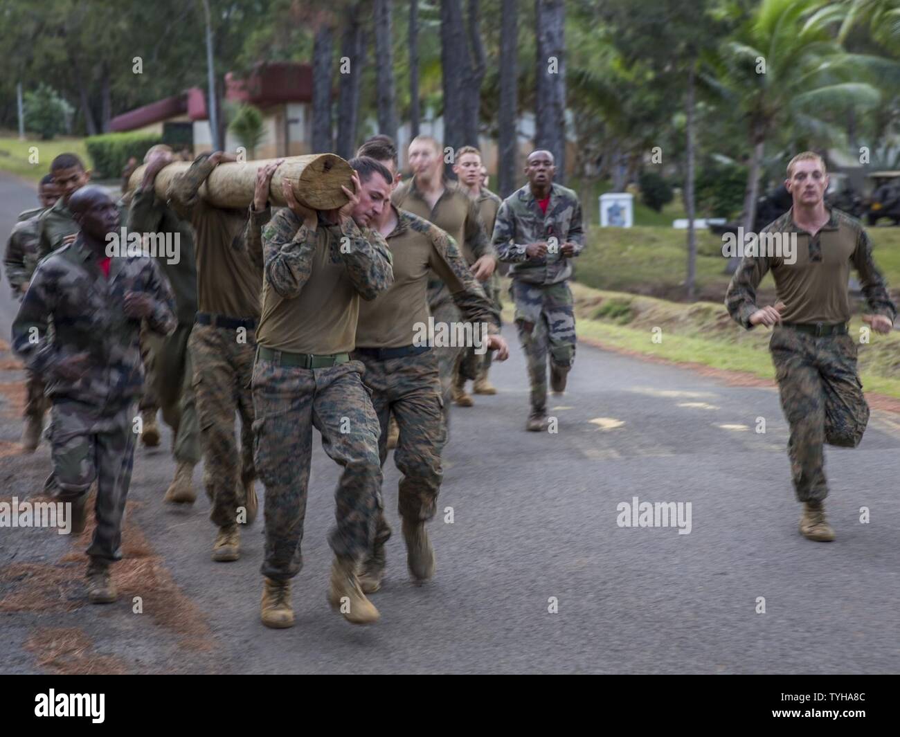 U.S. Marines with Combat Engineer Platoon, Task Force Koa Moana 16-4, integrated with the French army and the Republic of Fiji Military Forces to compete in the French army log challenge during Croix Du Sud in Plum, New Caledonia, Nov. 9, 2016. Croix Du Sud is a multi-national, humanitarian assistance disaster relief and non-combatant evacuation operation exercise conducted every two years to prepare nations in the event of a cyclone in the South Pacific. The Koa Moana exercise seeks to enhance senior military leader engagements between allied and partner nations in the Pacific with a collecti Stock Photo