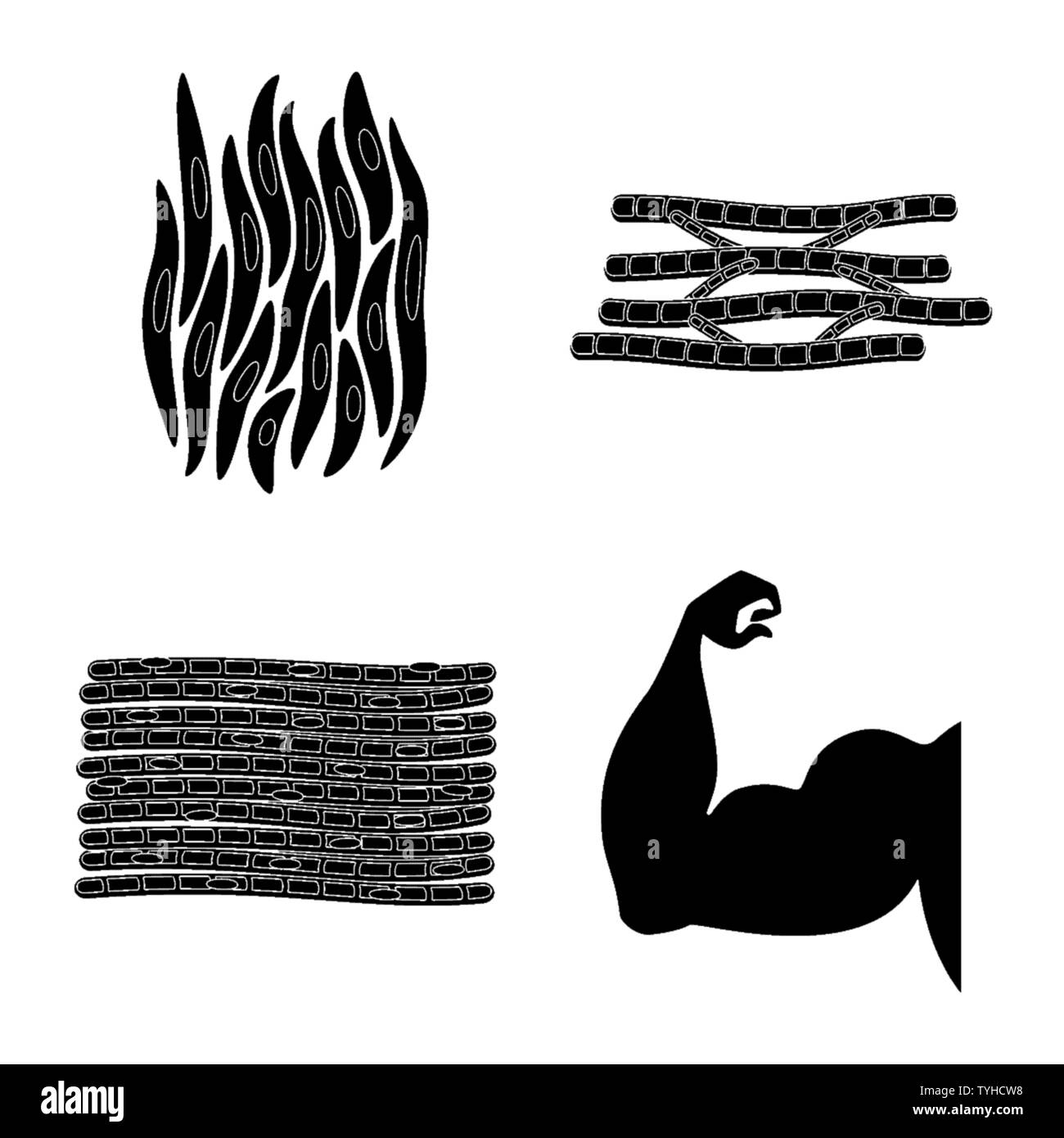 Vector design of human and body logo. Collection of human and cells ...