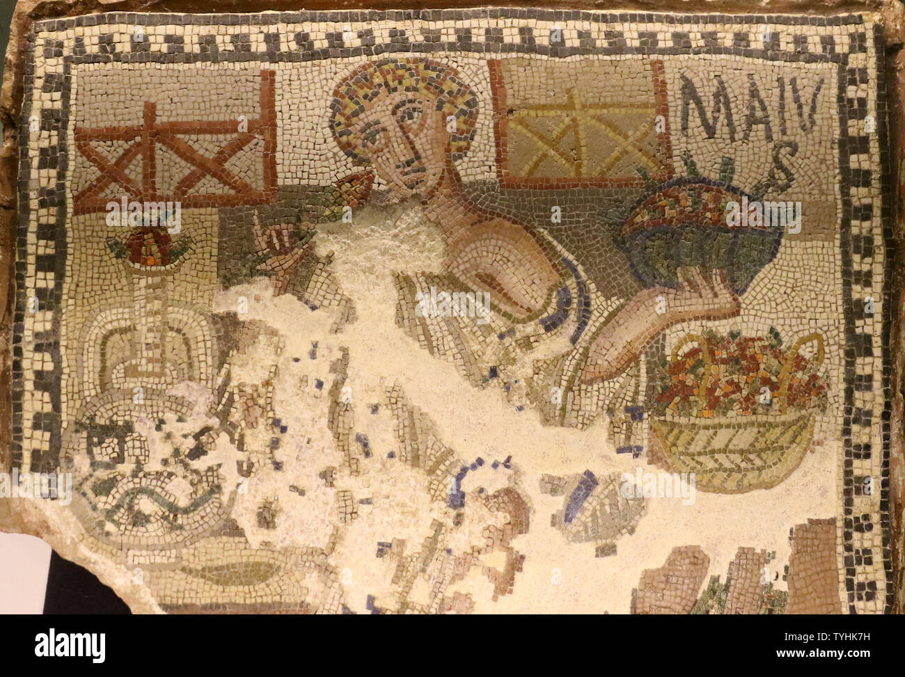 Colourful visions of ancient Rome. Polychrome Roman Mosaics from ...