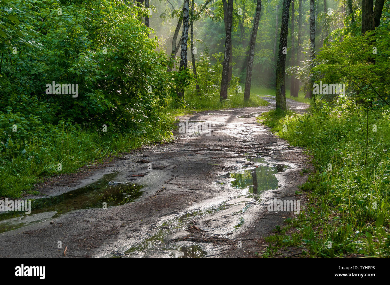 Sunny Park After Rain Colorful Spring Scene Stock Photo Alamy Sunny Park After Rain Colorful Spring Scene Stock Photo Alamy