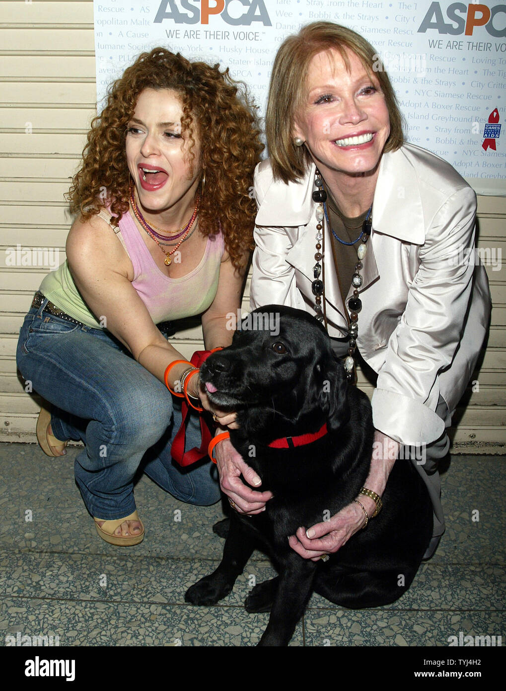 Bernadette Peters House My New York Bernadette Peters