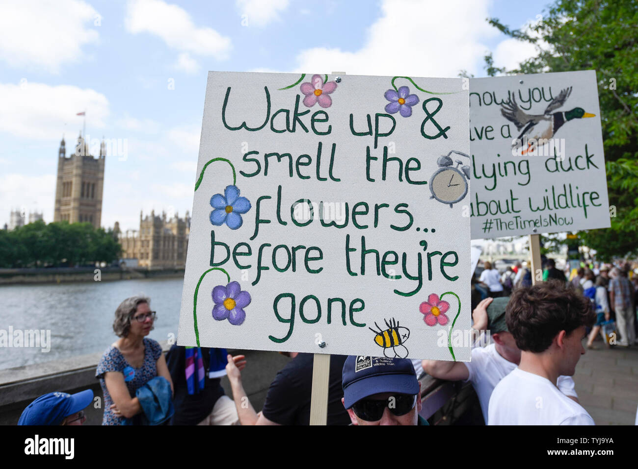 London, UK.  26 June 2019.   Signs held up by people during a 'Time Is Now' mass lobby around Parliament.  Activists are attempting to deliver a message to MPs that to tackle the environmental crisis, a strong Environment Bill is passed that can restore nature, cut plastic pollution and improve air quality.  Similar gatherings are taking place across the UK.  Credit: Stephen Chung / Alamy Live News Stock Photo