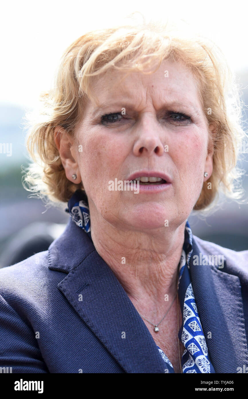 London, UK.  26 June 2019.  Anna Soubry, MP for Broxtowe in Nottinghamshire, meets people taking part in a 'Time Is Now' mass lobby around Parliament.  Activists are attempting to deliver a message to MPs that to tackle the environmental crisis, a strong Environment Bill is passed that can restore nature, cut plastic pollution and improve air quality.  Similar gatherings are taking place across the UK.  Credit: Stephen Chung / Alamy Live News Stock Photo