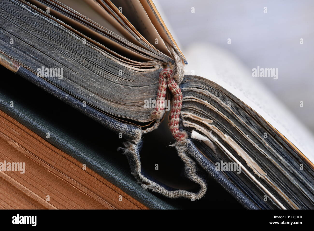 Macro of stacked old book Stock Photo