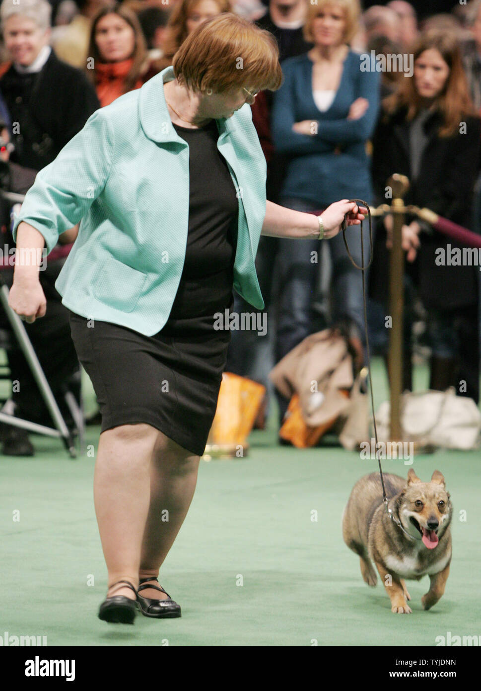 Crufts 2919 2025