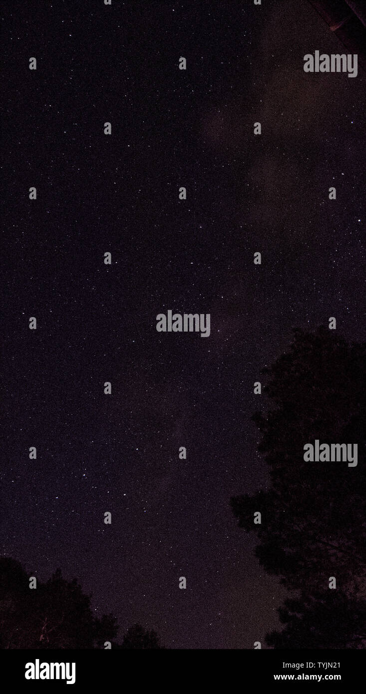 Night sky with stars Stock Photo