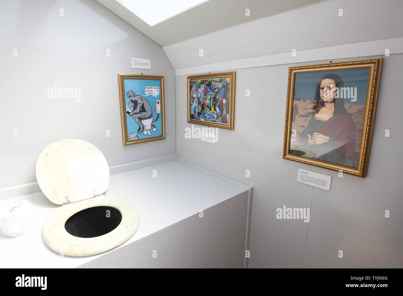 The Loovre toilet created by Water Aid at Glastonbury Festival, at Worthy Farm in Somerset. The art gallery is in a toilet cubicle displaying famous works with a twist. Stock Photo
