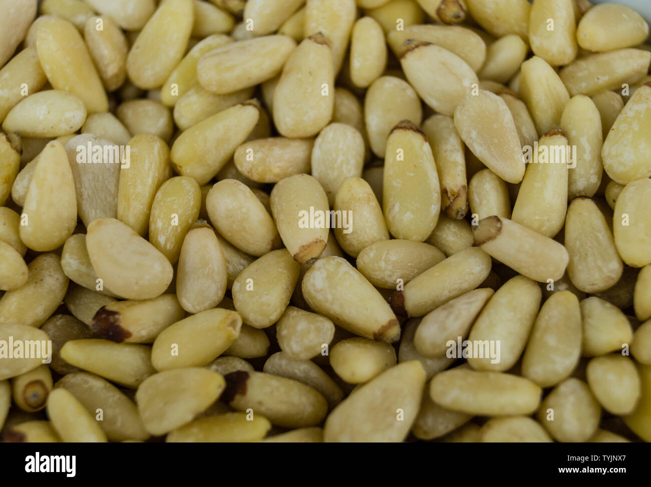 roasted pine nuts for a green pesto Stock Photo Alamy