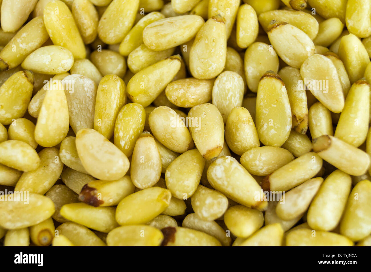 roasted pine nuts for a green pesto Stock Photo Alamy