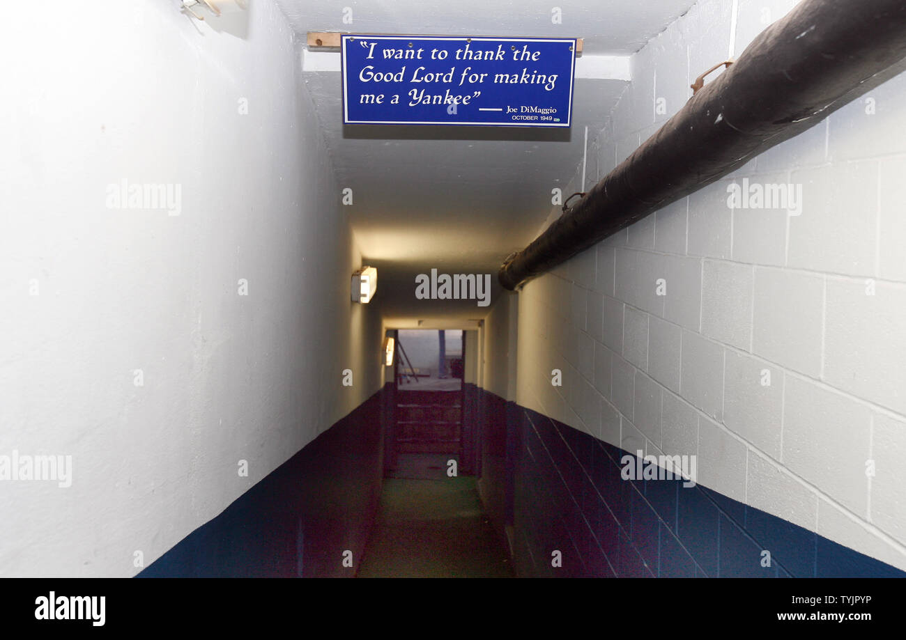In the tunnel from the Yankees' clubhouse to the dugout as…