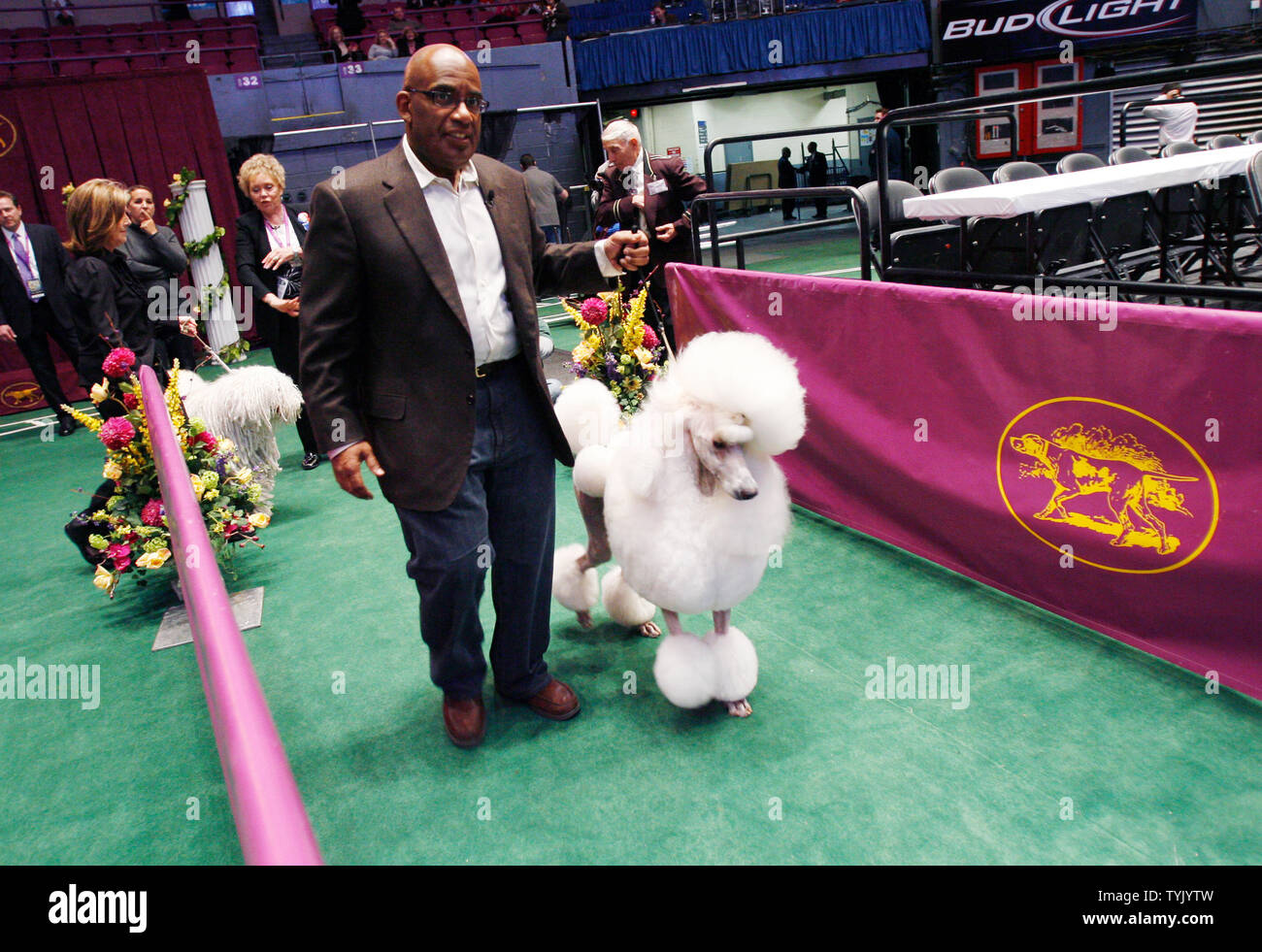 Westminster kennel club 133rd annual dog show hi res stock