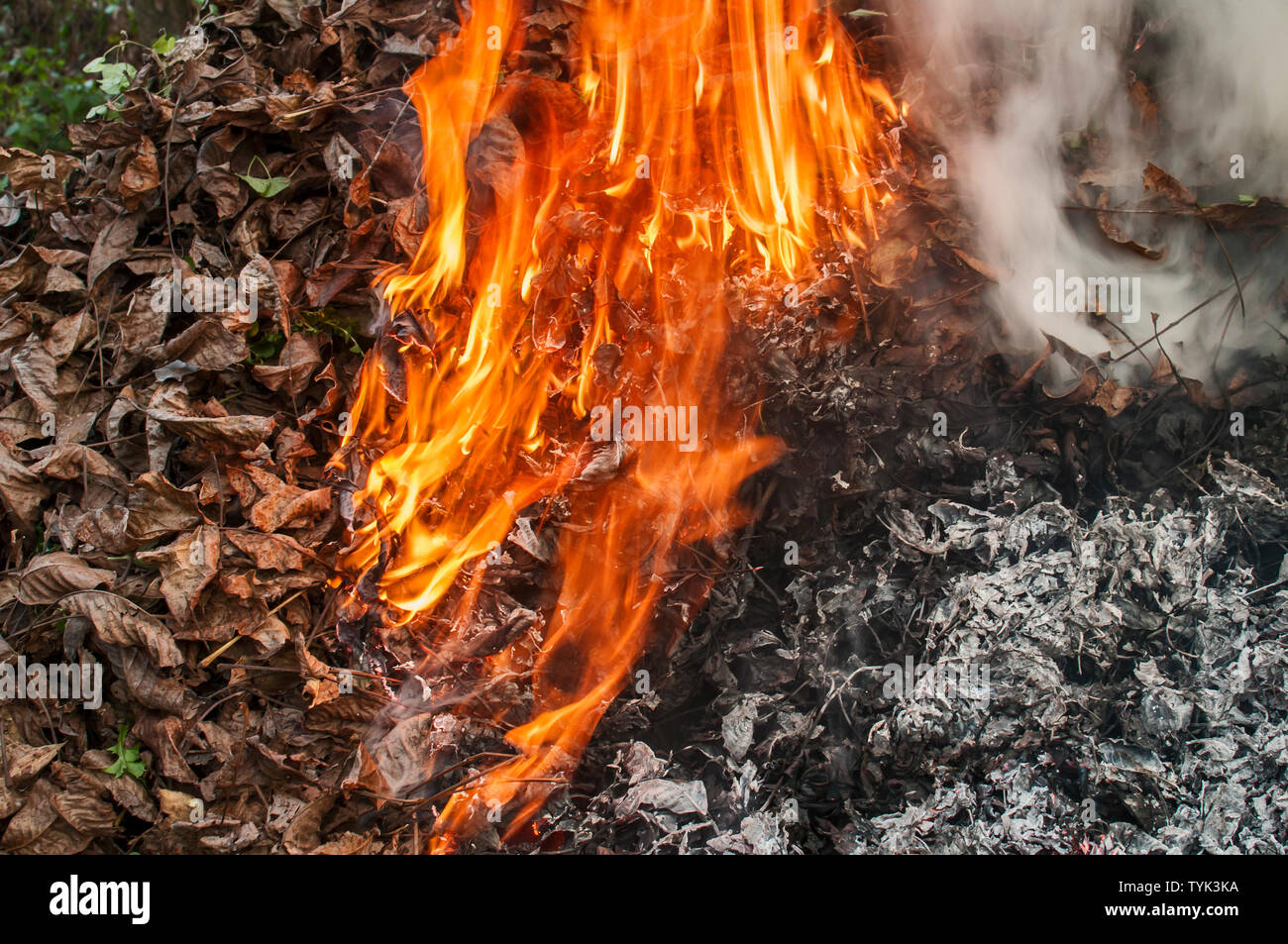 Flameburning pile of dry autumn leaves and their ashes Stock Photo Alamy