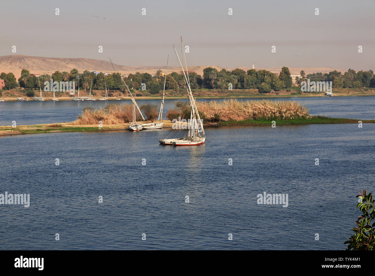 Aswan city in Egypt on the Nile river Stock Photo - Alamy