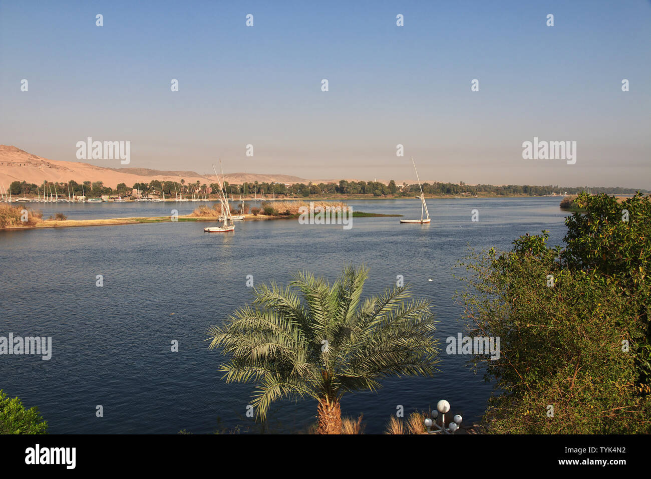 Aswan city in Egypt on the Nile river Stock Photo - Alamy