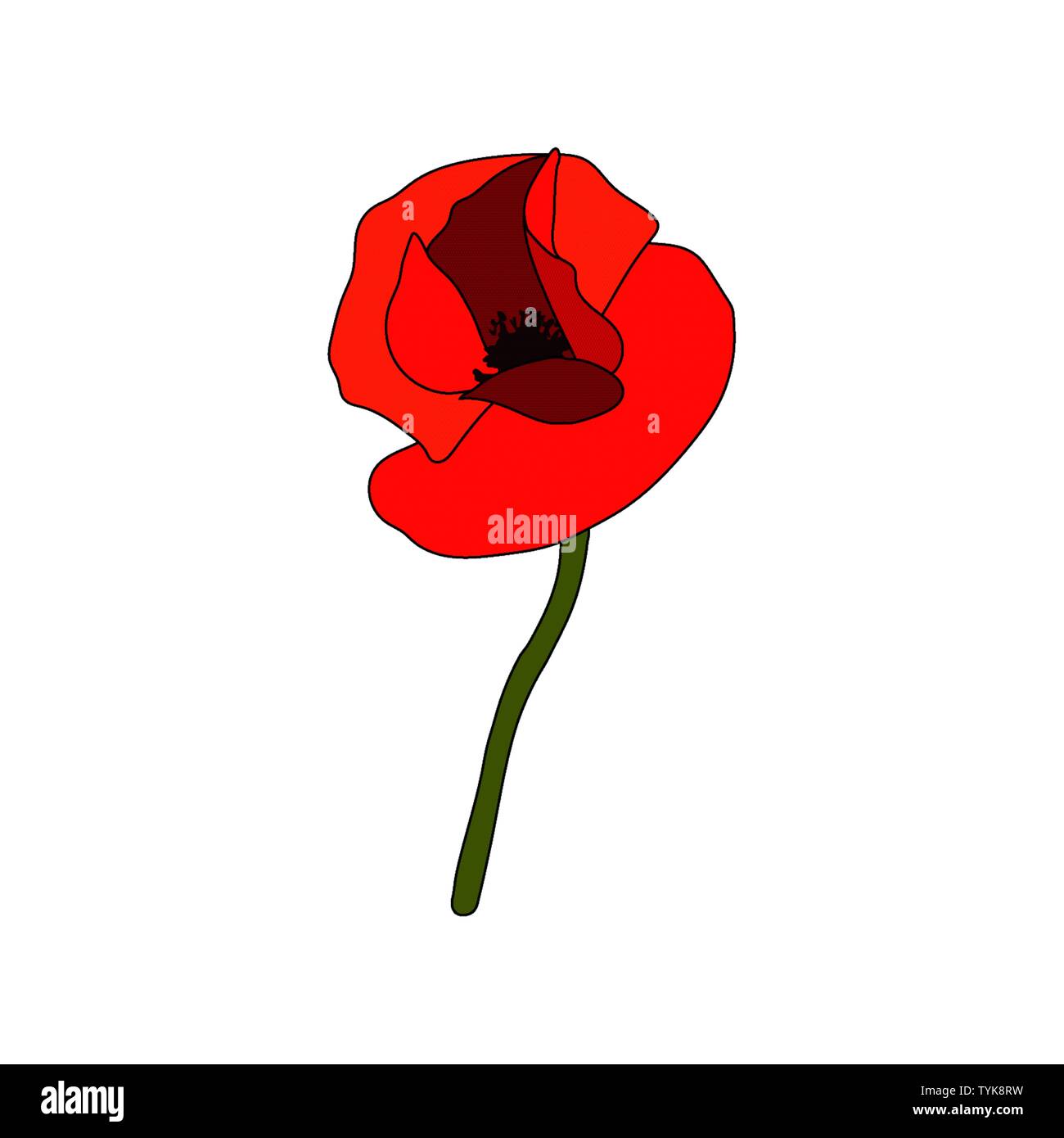 Red Poppy full-blown flower and stem. Side view. Anzac. Flat sketch style. Bud flagging. Scarlett drooping petals. Remembrance. Vector illustration. P Stock Vector