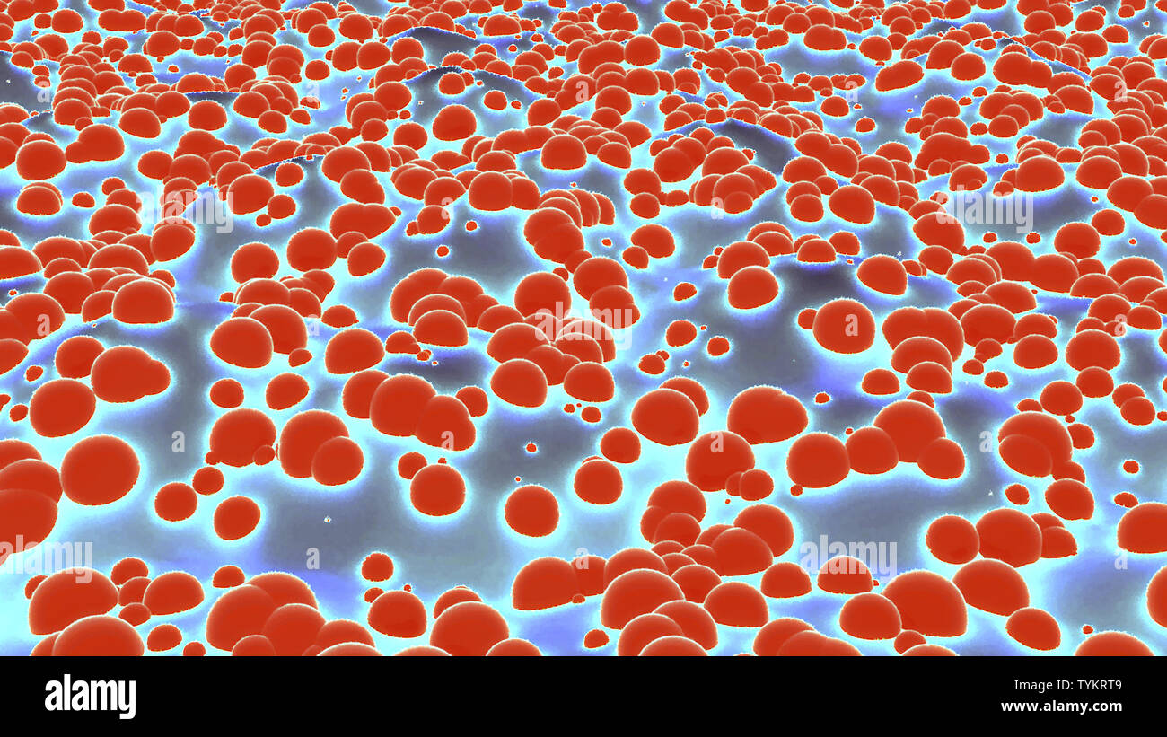 Biofilm Microorganism High Resolution Stock Photography and Images - Alamy