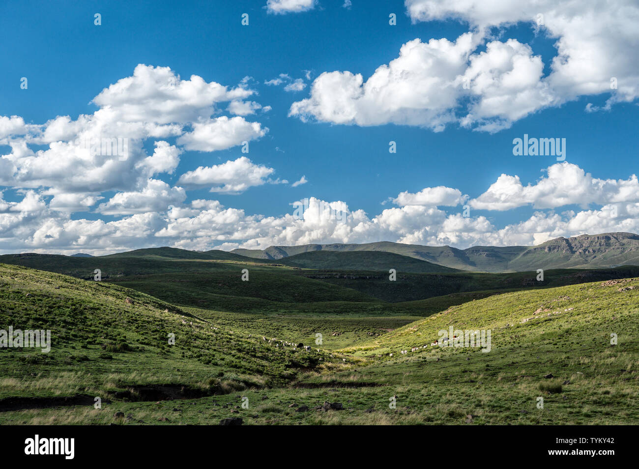 Africa; Southern Africa; Maseru District; Lesotho; Semonkong, landscape Stock Photo