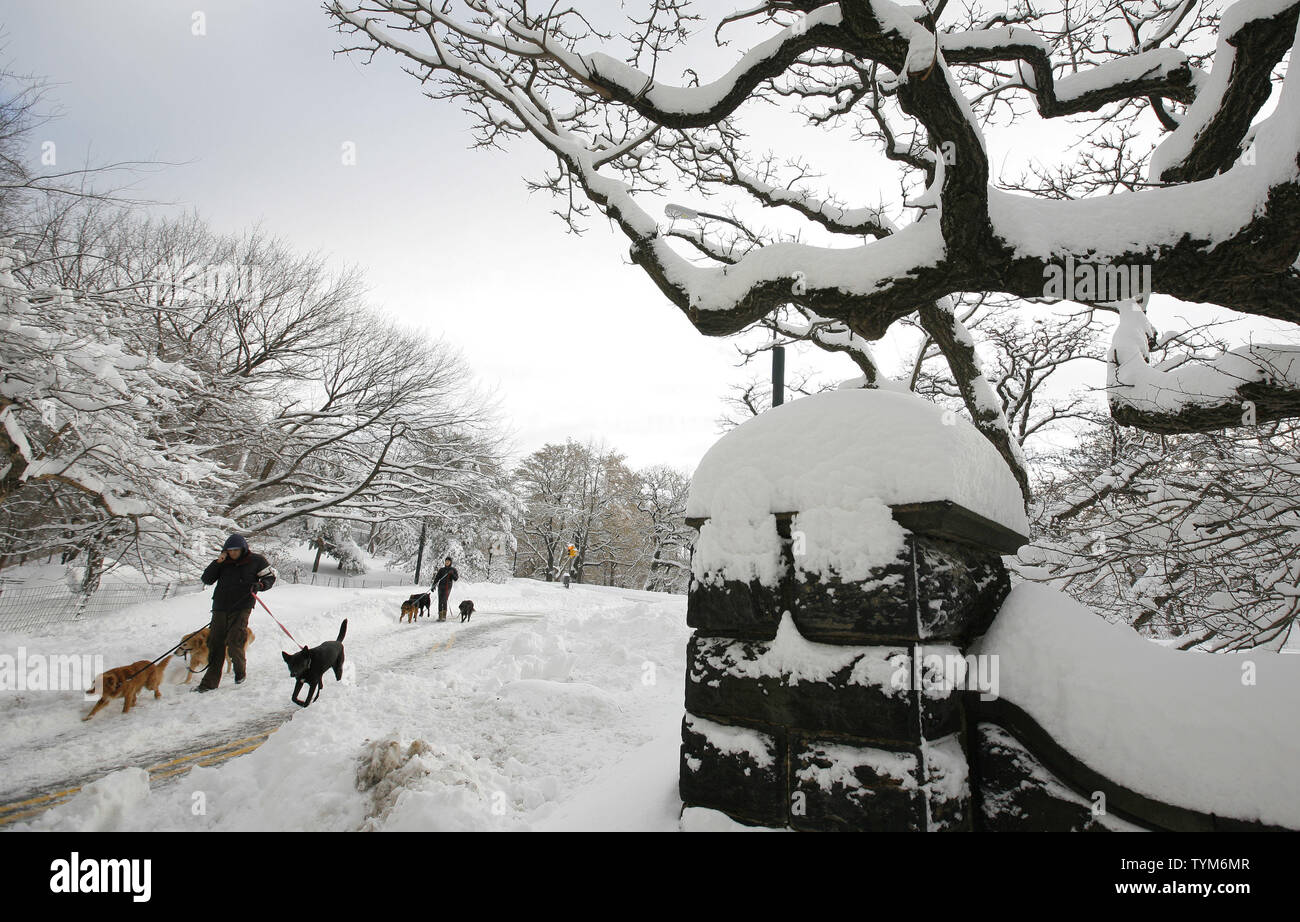People and dogs walk in Central Park after a major storm dumped around 19 inches of snow on January 27, 2011 in New York City. The storm caused suspension of may city bus lines and closed all public schools as this month became the snowiest January in New York City history.     UPI /Monika Graff Stock Photo