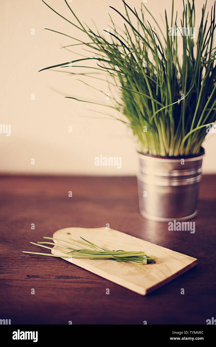 chives Stock Photo