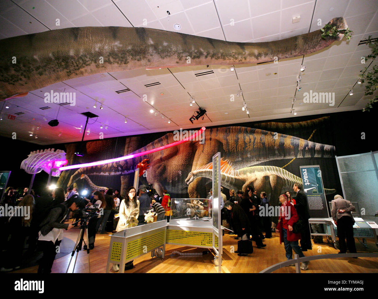 The neck and head of the lifesized model of a 60footlong