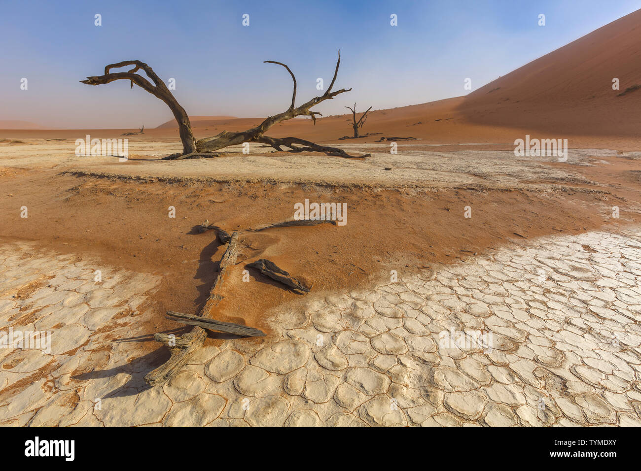 Wind deadvlei hi-res stock photography and images - Alamy