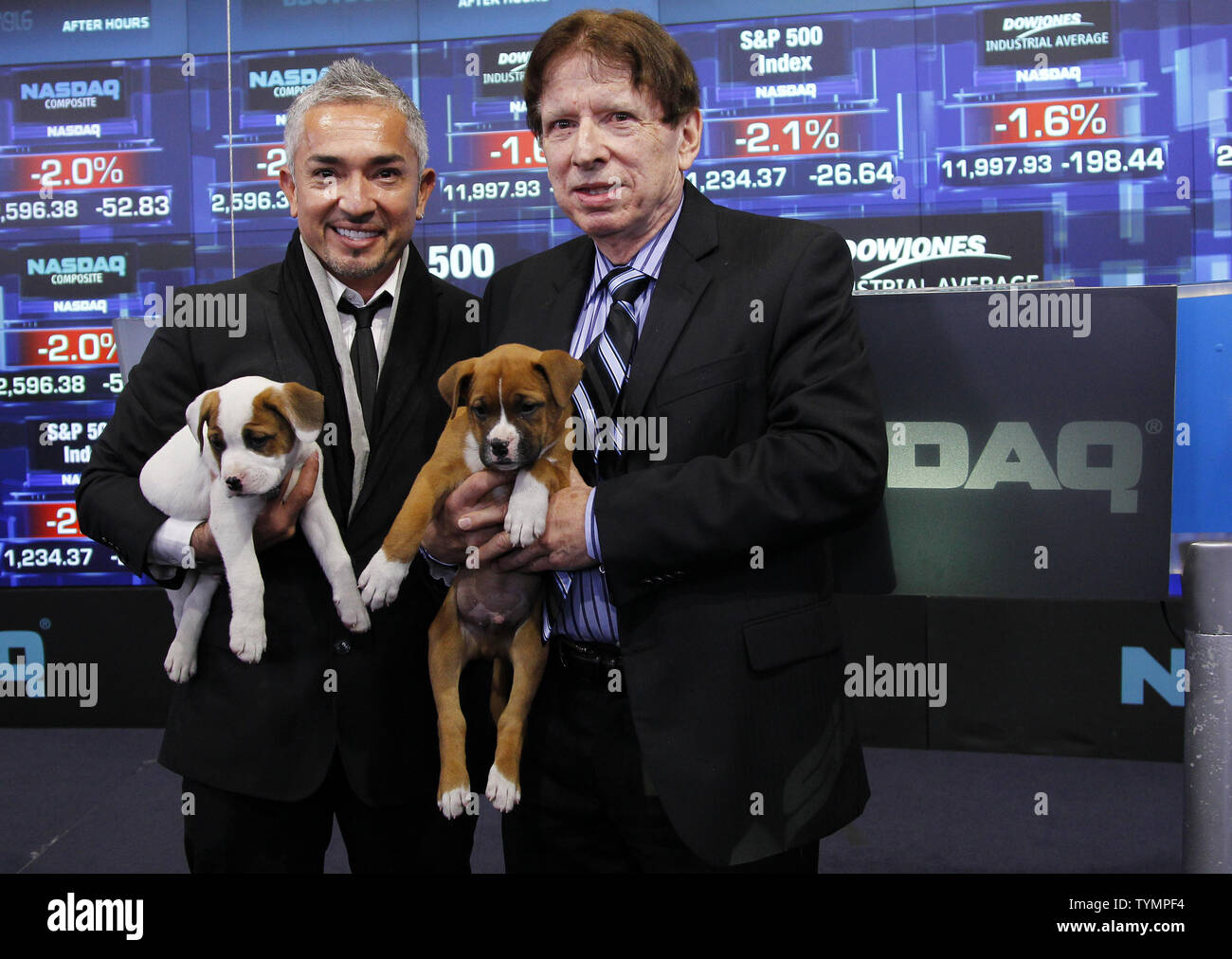 John Stevenson and Cesar Millan (L) hold puppies from the North Shore Animal League after ringing the closing bell at the NASDAQ In New York City on December 8, 2011.     UPI/John Angelillo Stock Photo