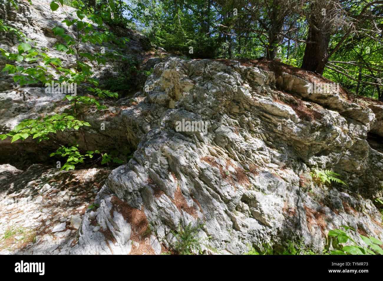 Lord Hill Quarry on Lord Hill in Maine during the spring months. The Mine Loop Trail travels