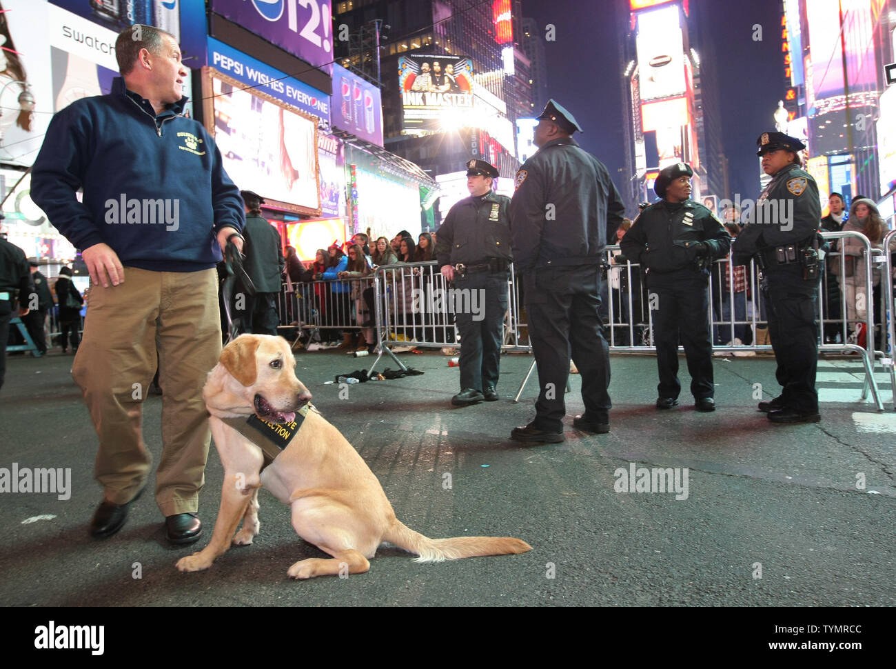 A bomb-sniffing police dog along with New York City Police officers ...