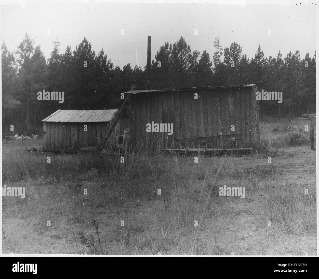 Trespassers Cabin Black Hills National Forest South Dakota