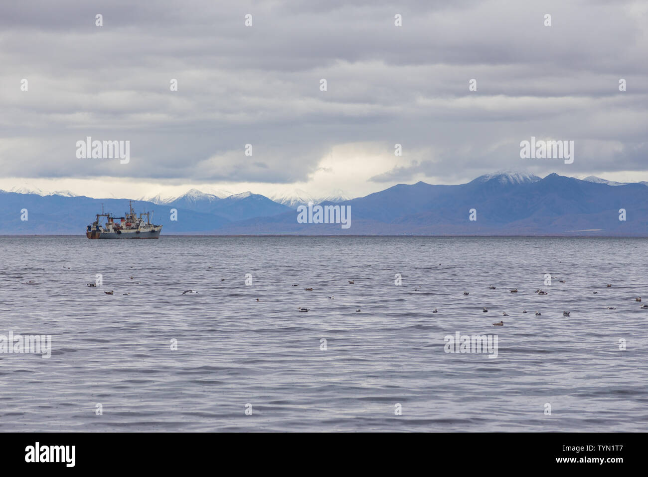 View of the Avacha Bay. Ships standing in the roadstead, mountain in the background. Petropavlovsk-Kamchatsky, Kamchatka Peninsula, Russia. Stock Photo