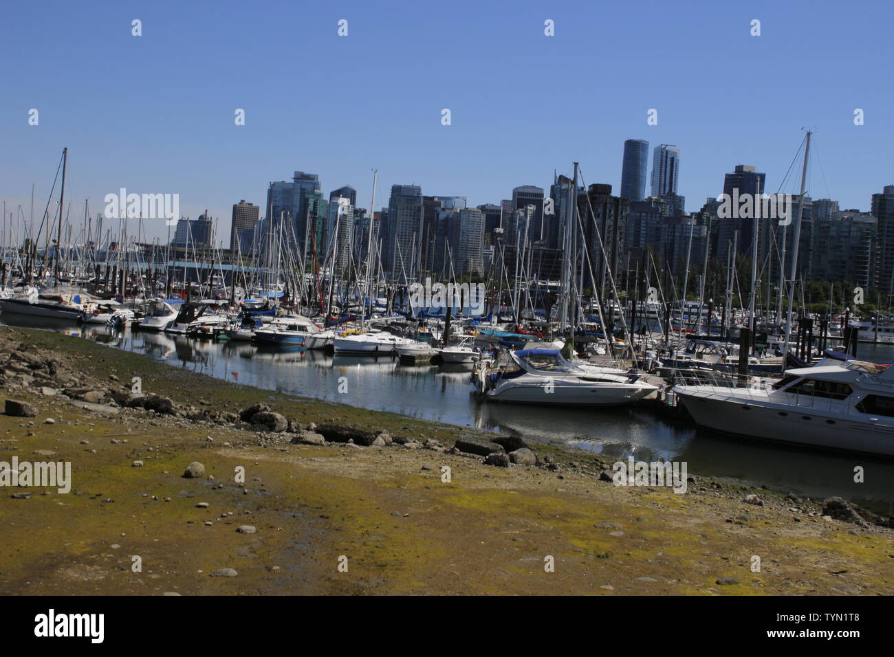 June 18 2018, Vancouver Canada: Editorial image of False creek boat harbour. This is a very rich area of Vancouver. Stock Photo