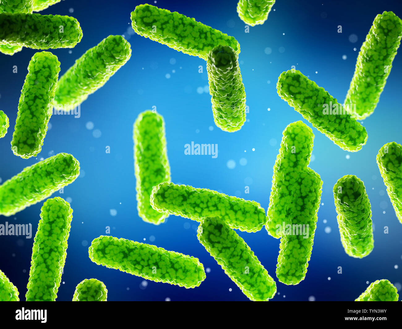 3d rendered medically accurate illustration of bacteria Stock Photo - Alamy
