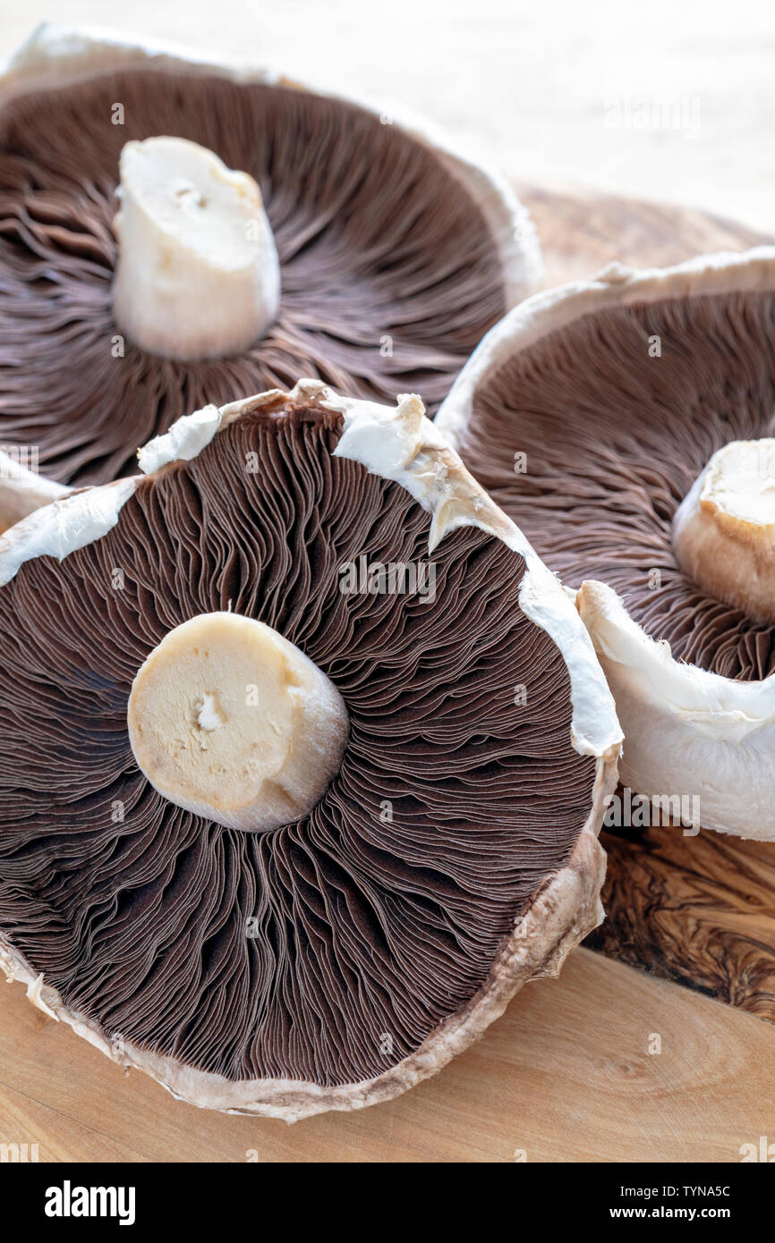 Large mushrooms on wooden surface Stock Photo