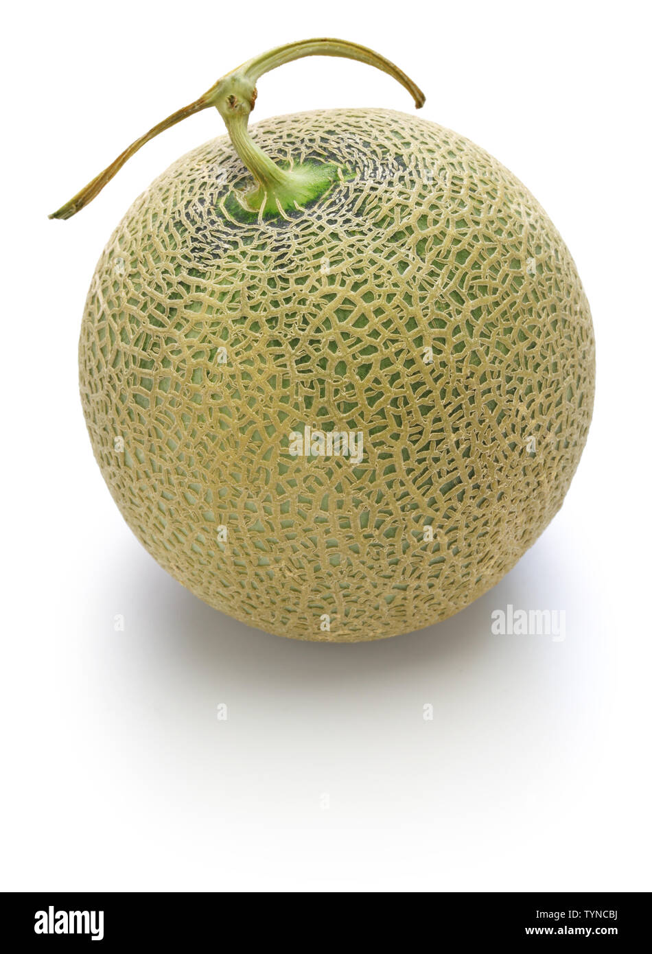 japanese luxury melon, king ruby Stock Photo Alamy
