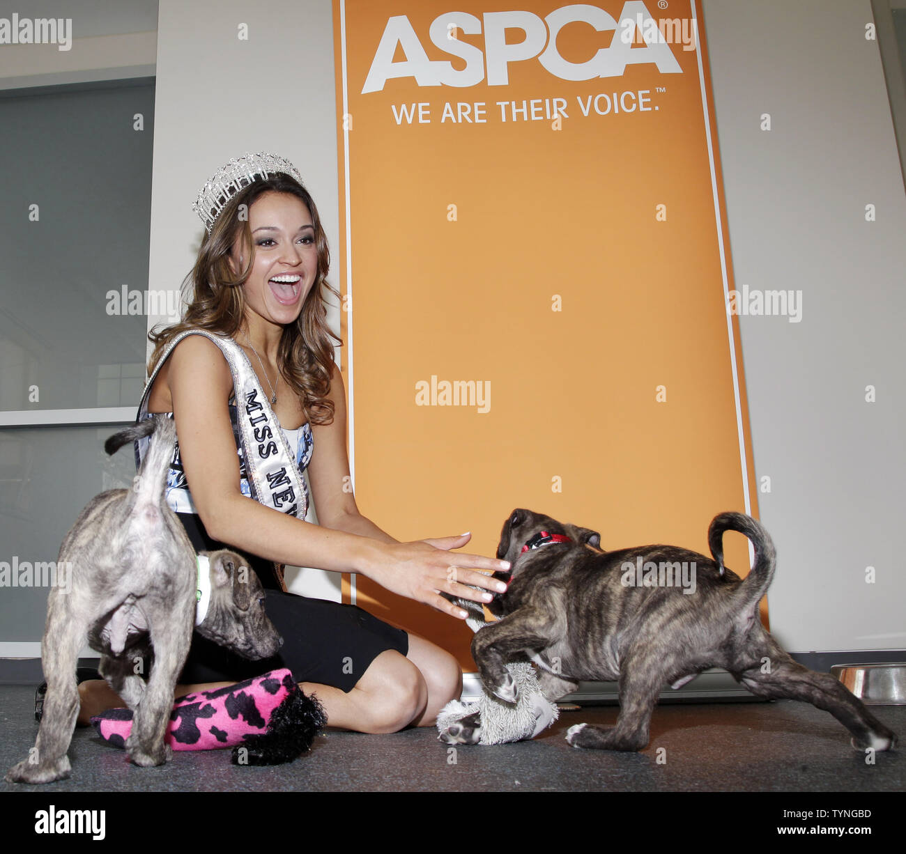 Miss New York Usa Joanne Nosuchinsky Bejewels The Kings Queens Of The Aspca Animal Kingdom Miss New York Usa Joanne Nosuchinsky Bejewels The Kings Queens Of The Aspca Animal Kingdom