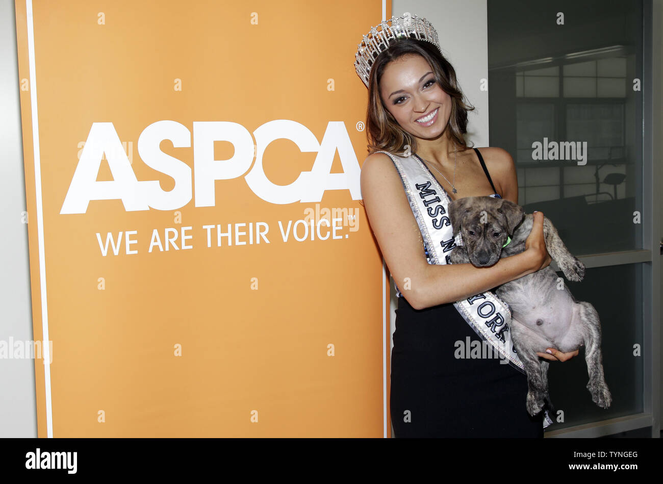 Adoption Center Hi Res Stock Photography And Images Alamy Adoption Center Hi Res Stock Photography And Images Alamy