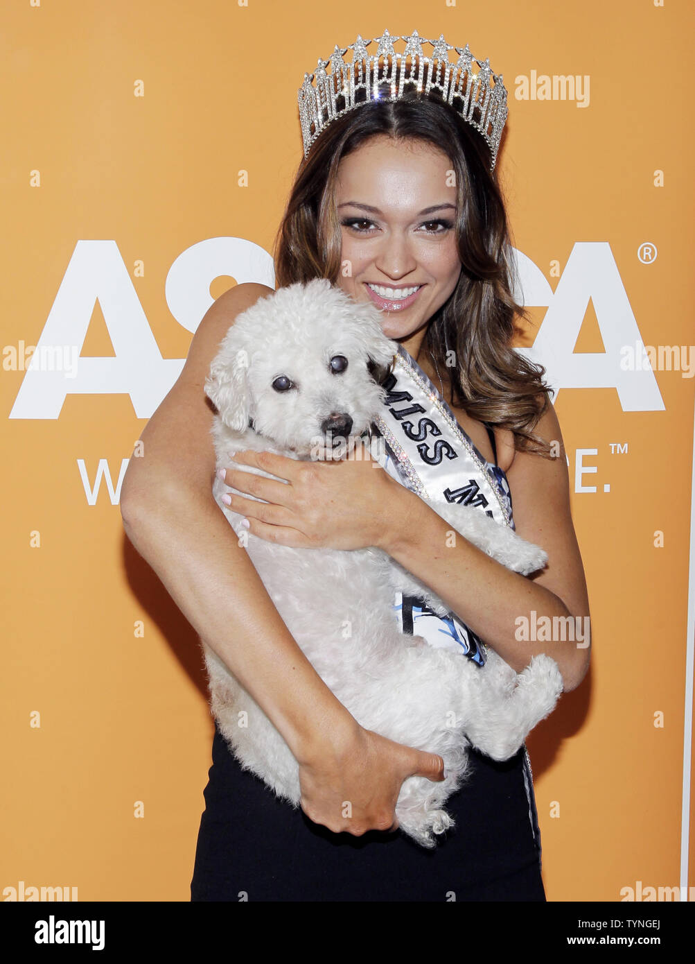 Adoption Center High Resolution Stock Photography And Images Alamy