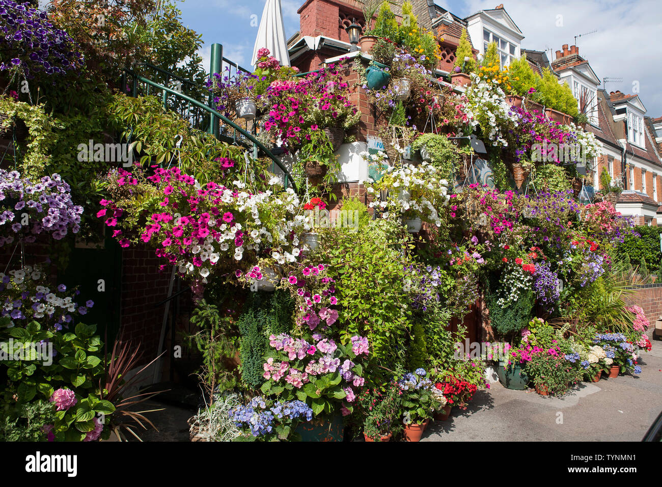 restaurants floral display, crouch end, london,uk Stock Photo Alamy