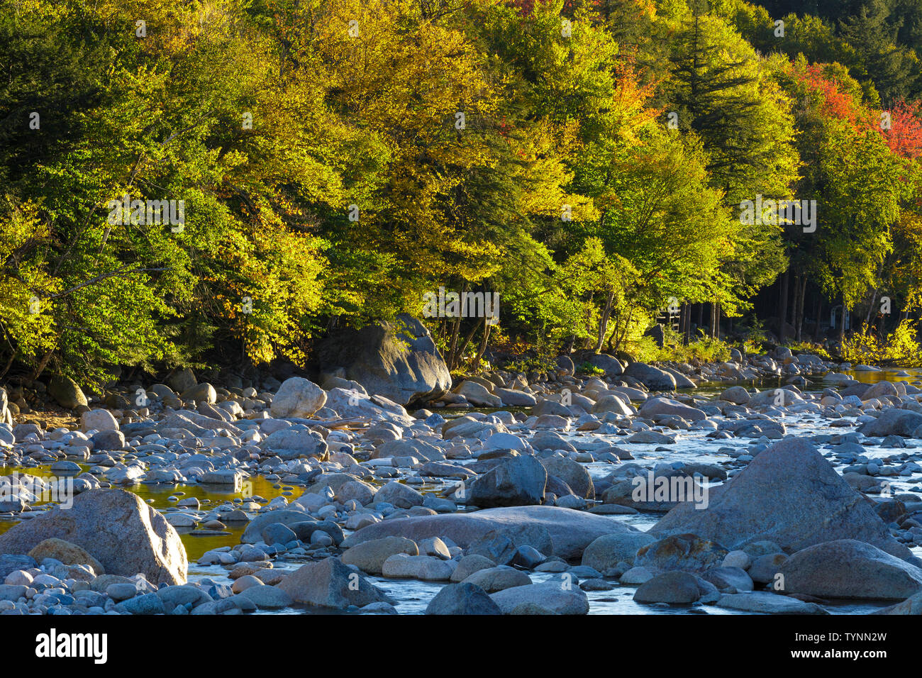 Pemi River High Resolution Stock Photography and Images Alamy
