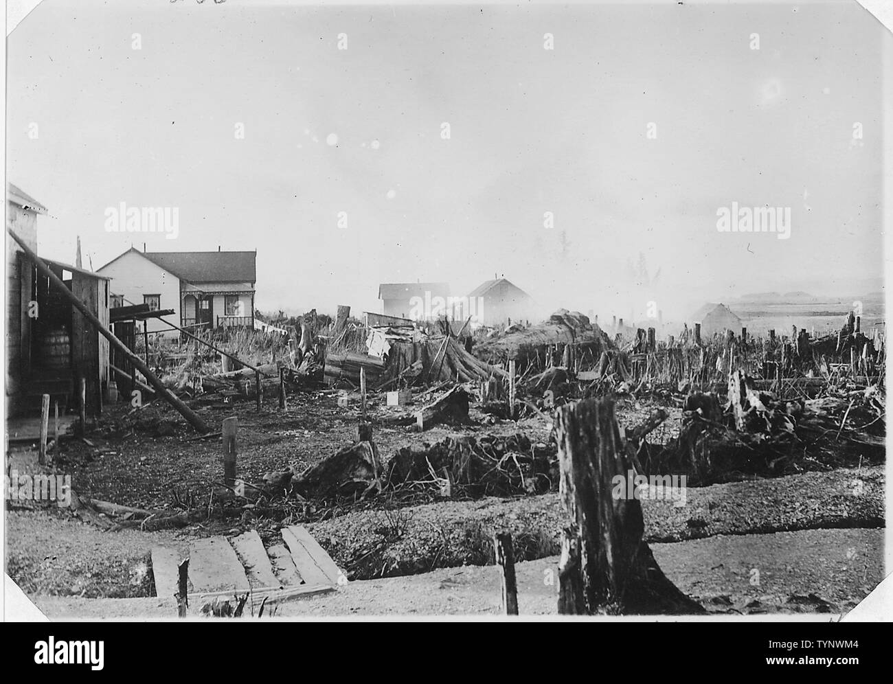 View of Metlakahtla, Alaska, after the fire of Feb. 12, 1893.; Scope and content:  Also visible, stumps of trees cleared for new village. The fire destroyed a considerable portion of the new settlement of the Metlakahtlans on Annette Island. Stock Photo