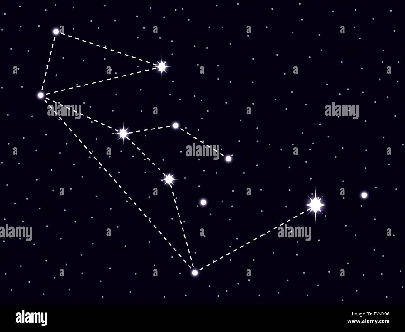 Lupus constellation. Starry night sky. Vector illustration Stock Vector