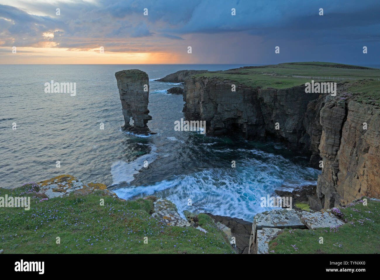 Yesnaby sea Stack at sunset Orkney Stock Photo