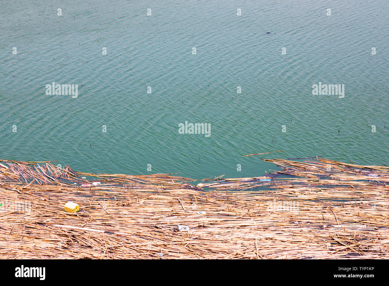 Floating debris after heavy rain, Kouris reservoir Dam, Limassol, Cyprus 2019 Stock Photo