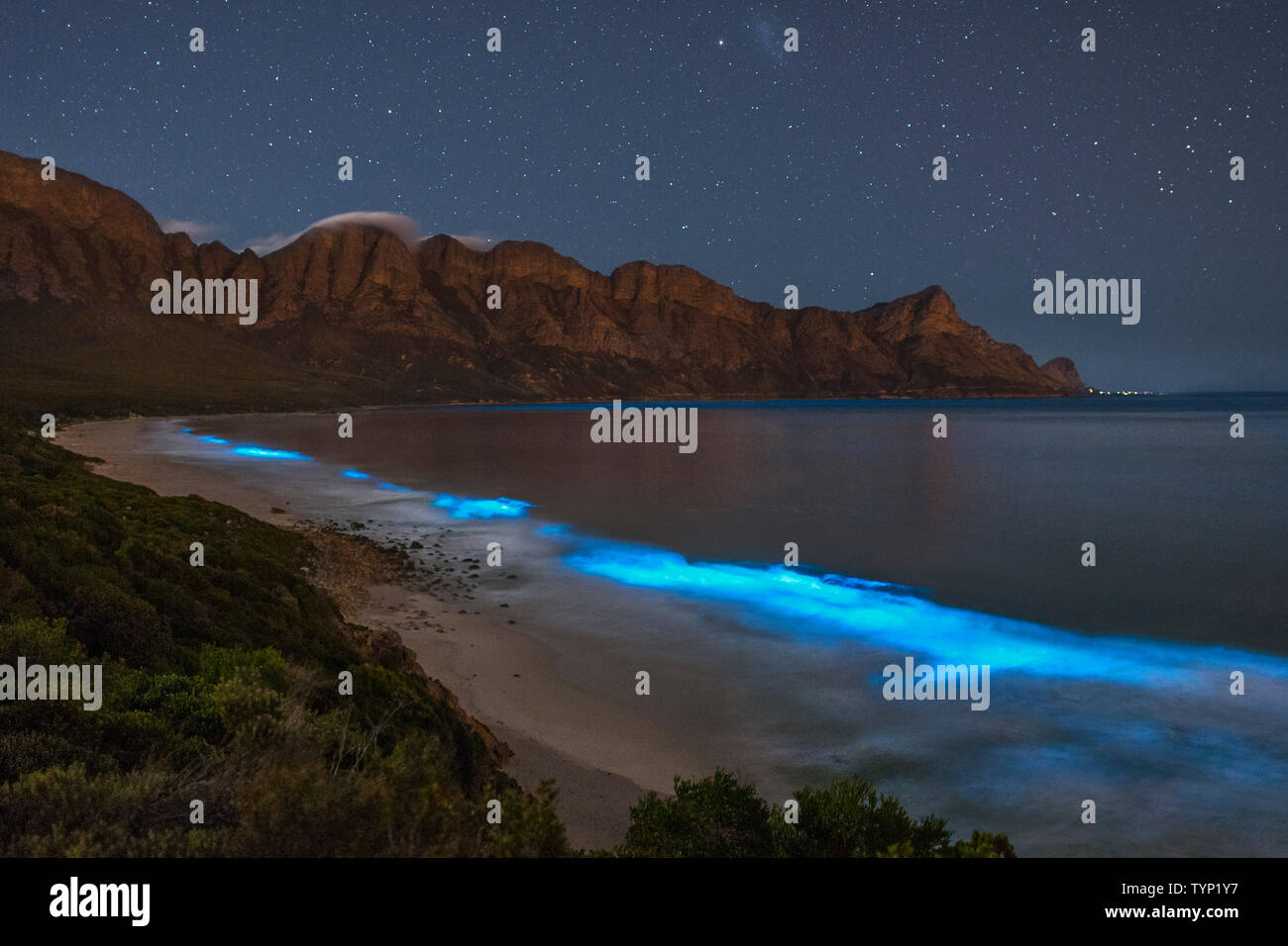 Bioluminescent phytoplankton illuminating the ocean along the coast at the Kogelberg Biosphere Reserve near Cape Town, South Africa. Stock Photo