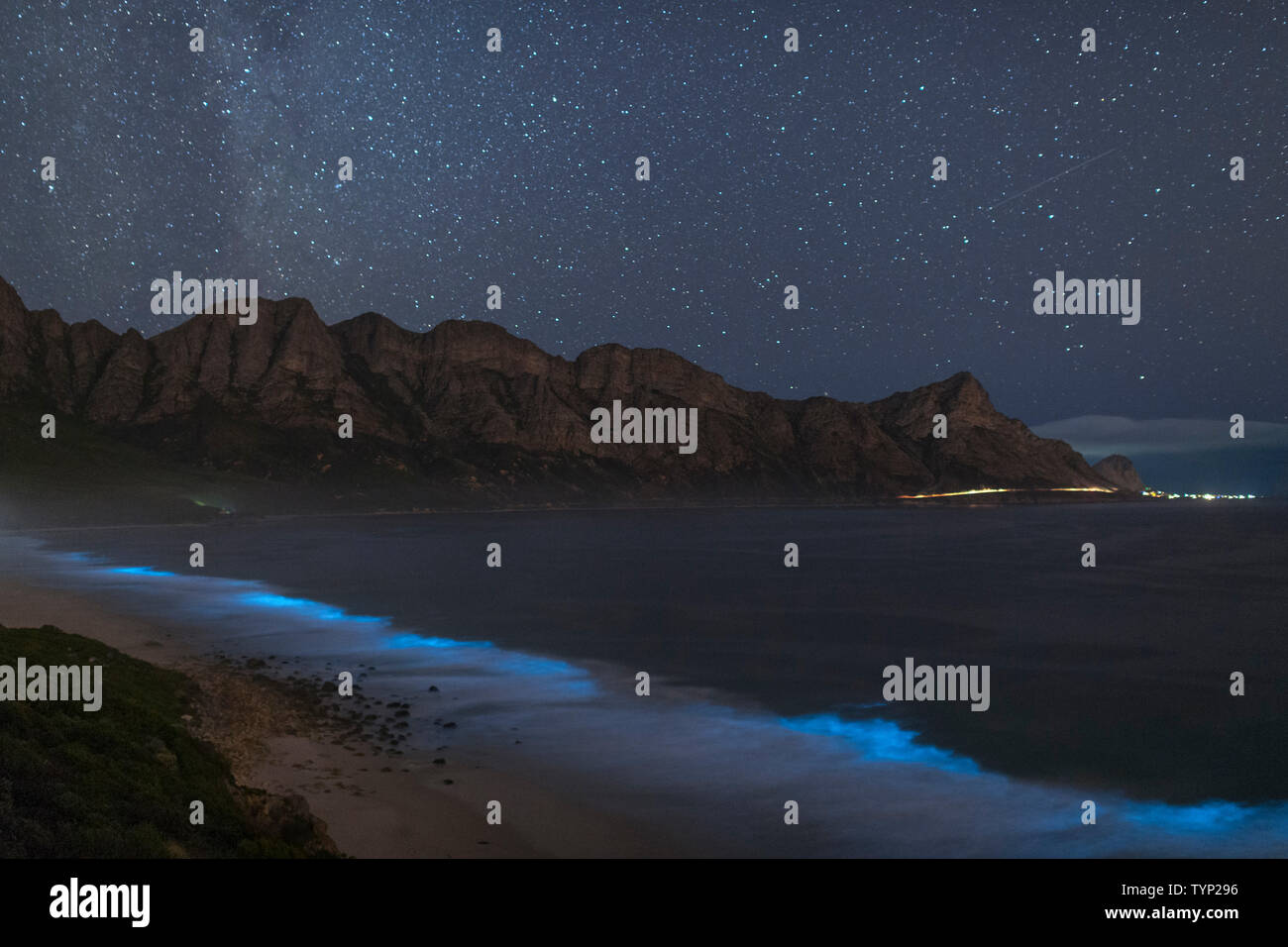 Bioluminescent phytoplankton illuminating the ocean along the coast at the Kogelberg Biosphere Reserve near Cape Town, South Africa. Stock Photo